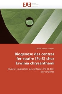 Biogenese des centres  fer-soufre [fe-s] chez  erwinia chrysanthemi