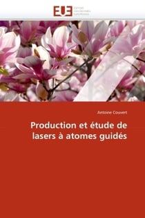 Production et etude de lasers a atomes guides