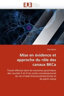 Mise en evidence et approche du role des canaux bkca