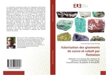 Valorisation des gisements de cuivre et cobalt par flottation