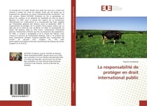 La responsabilité de protéger en droit international public