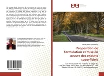 Proposition de formulation et mise en oeuvre des enduits superficiels : Les travaux ont été réalisés au siège du LABORATOIRE NATIONAL DU BÂTIMENT ET DES TRAVAUX PUBLICS