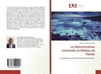La détermination nominale en Mahou de Tienko : Les opérations de détermination nominales