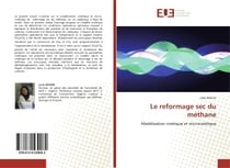 Le reformage sec du méthane : Modélisation cinétique et microcinétique