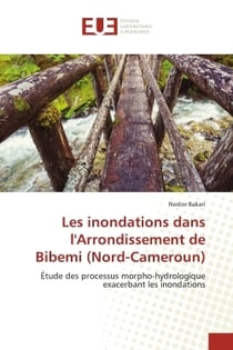 Les inondations dans l'Arrondissement de Bibemi (Nord-Cameroun) : Étude des processus morpho-hydrologique exacerbant les inondations