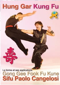 Hung gar fu la forme et ses applications