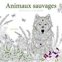 Animaux sauvages - Dessins à colorier