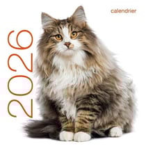 Calendrier mural : Chats (édition 2026)