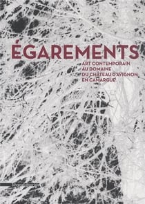 Egarements - art contemporain au domaine du chateau d'avignon en camargue