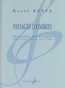 Paysages d'ombres