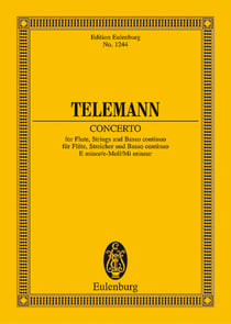 Concerto e minor poche
