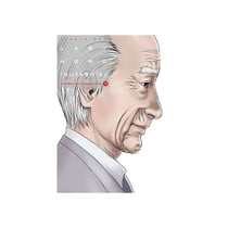 Last hero Inuyashiki Tome 9