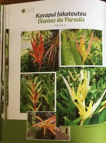 Jardins d'uvea