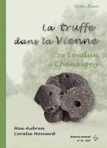 La truffe dans la vienne de loudun a chauvigny