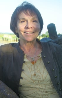 Un oiseau reviendra