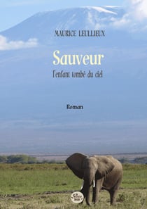 Sauveur, l'enfant tombe du ciel