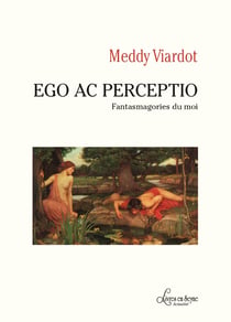 Ego ac perceptio - fantasmagories du moi