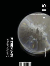 Remanence #1