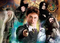 Puzzle 500 pièces - Harry Potter