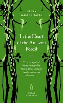 In the Heart of the Amazon Forest