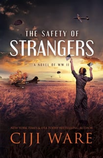 The Safety of Strangers - American Spy Sisters, #3