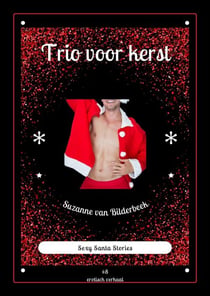 Trio voor kerst - Santa Stories, #8