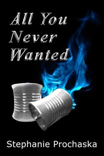 All You Never Wanted - Nobody Likes Megan McGowen, #2