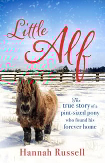 Little Alf - The true story of a pint-sized pony who found his forever home