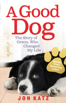 A Good Dog - The Story of Orson, Who Changed My Life