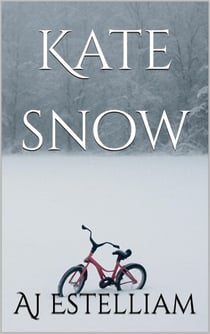Kate Snow - Emerson and Snow, #1