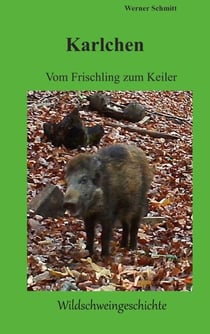 Karlchen, vom Frischling zum Keiler - Wildschweingeschichte
