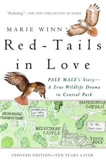 Red-Tails in Love - PALE MALE'S STORY--A True Wildlife Drama in Central Park