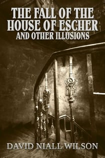 The Fall of the House of Escher and Other Illusions