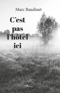 C’est pas l’hôtel ici - Roman