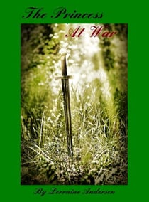 The Princess At War - Second-Hand Princess Stories, #2