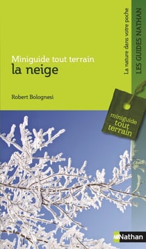 La neige