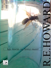 Les pirates du temple maudit