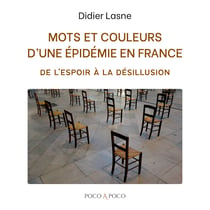 Mots et couleurs d'une épidémie en France - De l'espoir à la désillusion