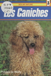 Les caniches