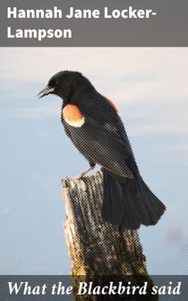 What the Blackbird said - A story in four chirps