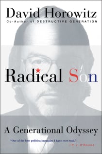 Radical Son - A Generational Oddysey