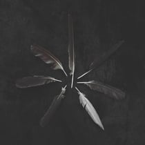 Dust And Disquiet