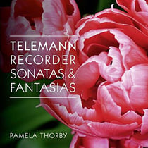 Recorder sonatas & fantasias