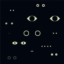 Animal universe