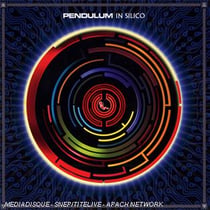 In silico