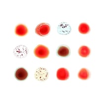 Scratch my back/and i'll scratch yours