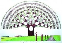 Arbre généa 8