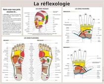 La réflexologie