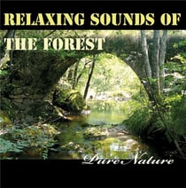 Relaxing sounds of the forest, pure nature