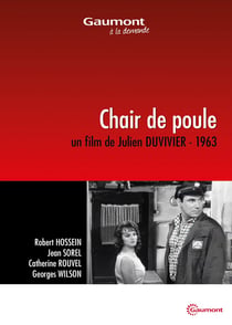 Chair de poule